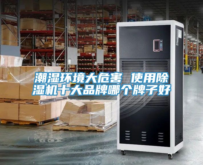 潮湿环境大危害 使用除湿机十大品牌哪个牌子好