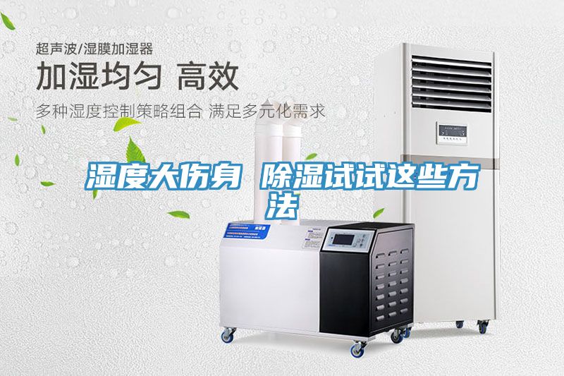 湿度大伤身 除湿试试这些方法