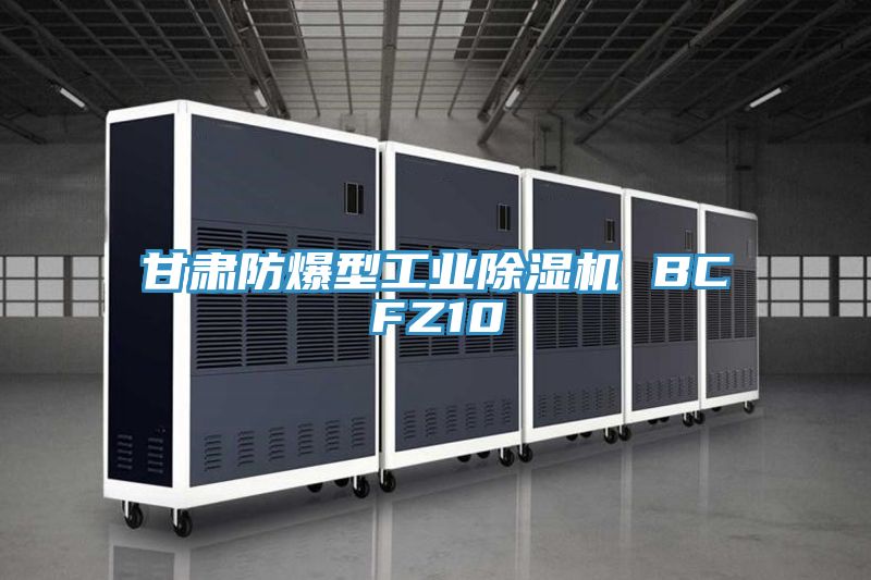 甘肃防爆型工业除湿机 BCFZ10