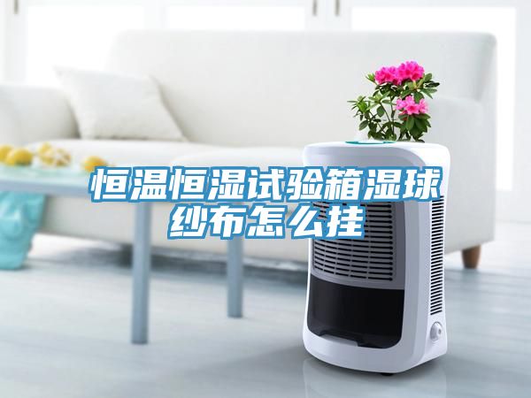 恒温恒湿试验箱湿球纱布怎么挂
