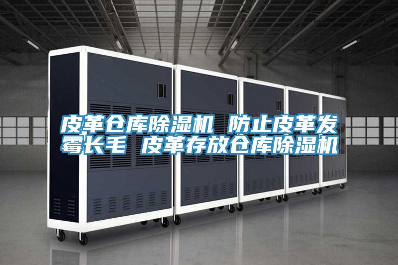皮革仓库除湿机 防止皮革发霉长毛 皮革存放仓库除湿机