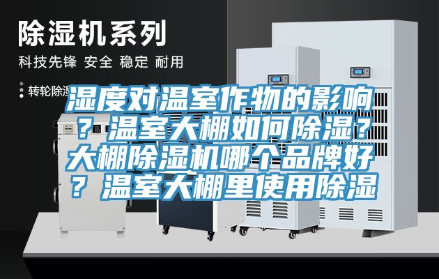 湿度对温室作物的影响？温室大棚如何除湿？大棚除湿机哪个品牌好？温室大棚里使用除湿