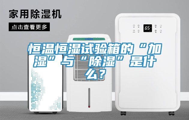 恒温恒湿试验箱的“加湿”与“除湿”是什么？