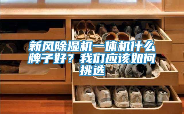 新风除湿机一体机什么牌子好？我们应该如何挑选