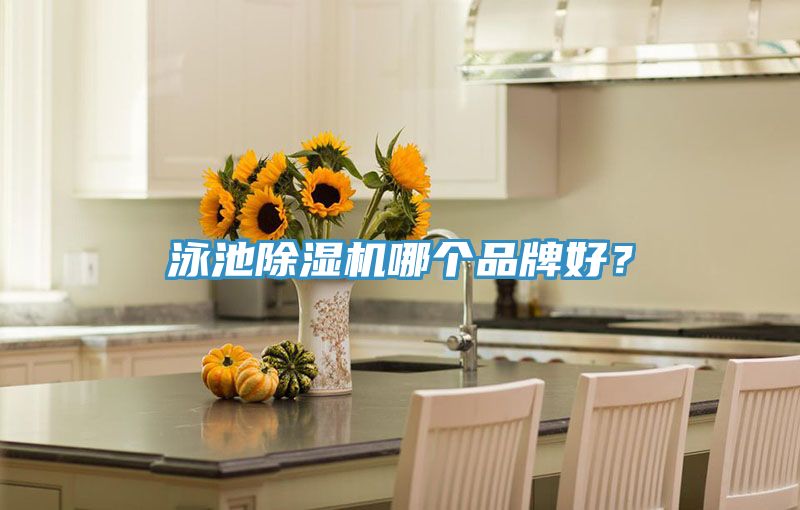 泳池除湿机哪个品牌好？