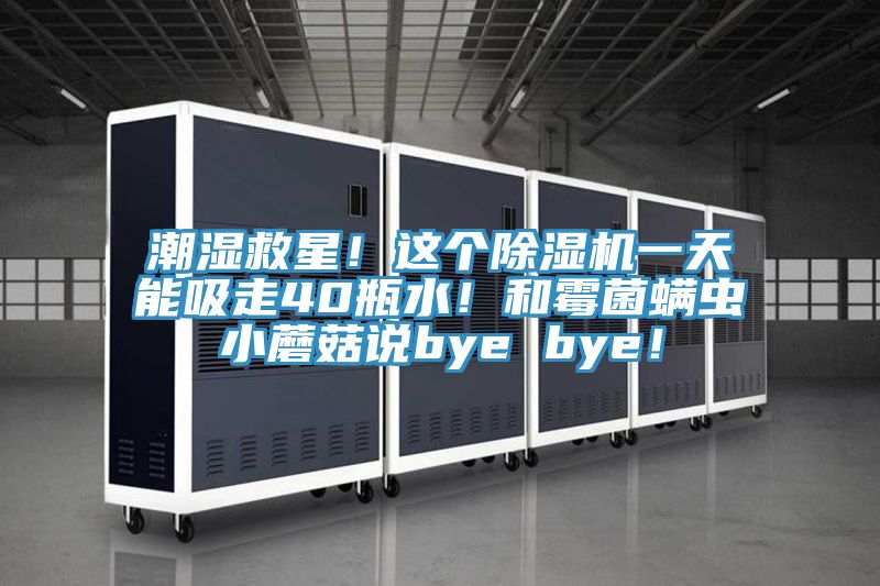 潮湿救星！这个除湿机一天能吸走40瓶水！和霉菌螨虫小蘑菇说bye bye！