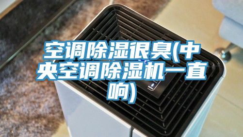 空调除湿很臭(中央空调除湿机一直响)
