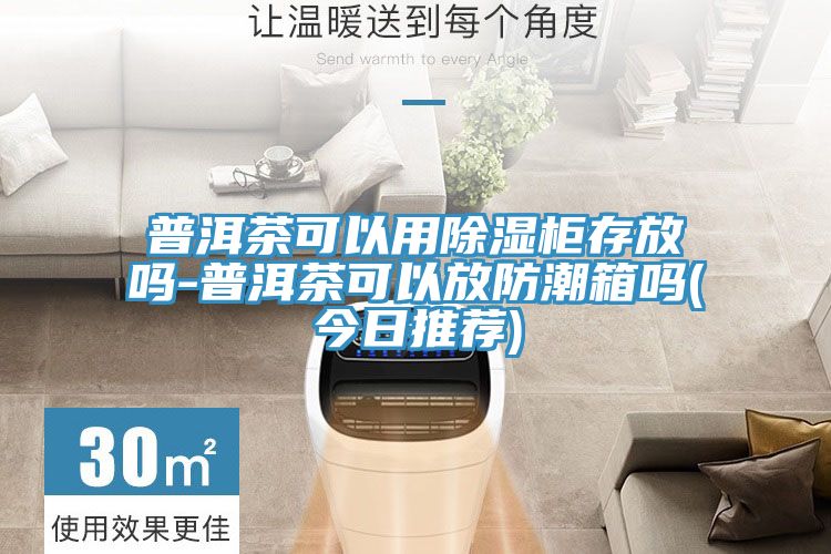 普洱茶可以用除湿柜存放吗-普洱茶可以放防潮箱吗(今日推荐)