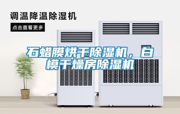 石蜡膜烘干除湿机，白模干燥房除湿机