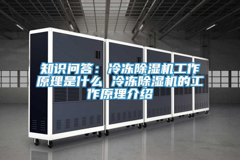 知识问答：冷冻除湿机工作原理是什么 冷冻除湿机的工作原理介绍