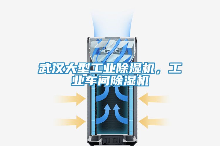 武汉大型工业除湿机，工业车间除湿机