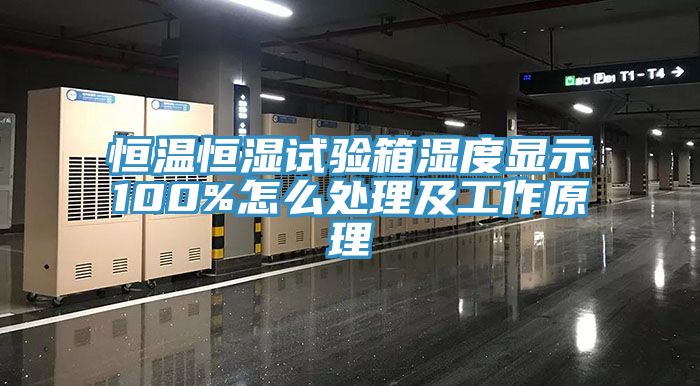 恒温恒湿试验箱湿度显示100%怎么处理及工作原理