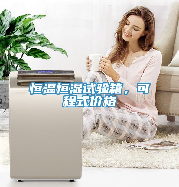 恒温恒湿试验箱，可程式价格