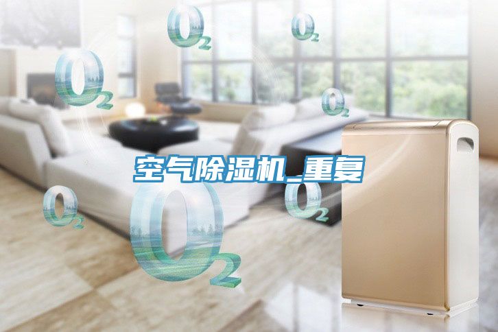 空气除湿机_重复
