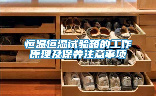 恒温恒湿试验箱的工作原理及保养注意事项