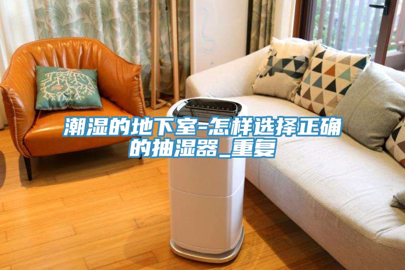 潮湿的地下室-怎样选择正确的抽湿器_重复