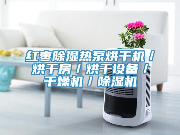 红枣除湿热泵烘干机／烘干房／烘干设备／干燥机／除湿机