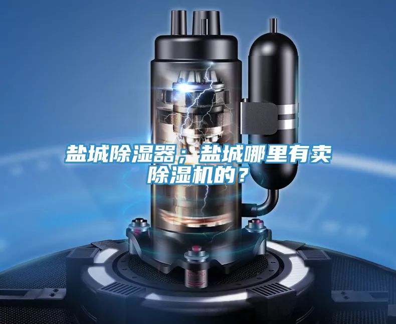 盐城除湿器；盐城哪里有卖除湿机的？