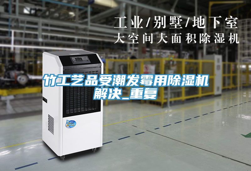 竹工艺品受潮发霉用除湿机解决_重复