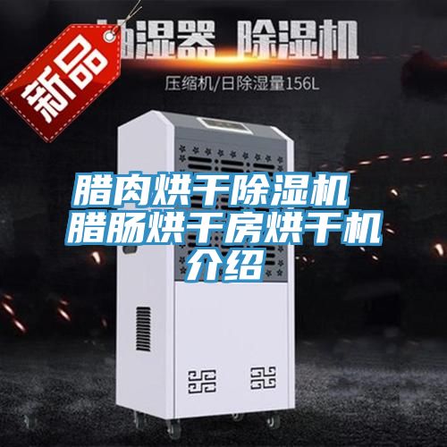 腊肉烘干除湿机 腊肠烘干房烘干机介绍