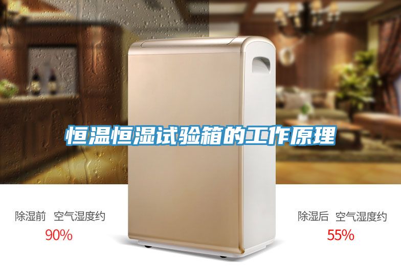 恒温恒湿试验箱的工作原理