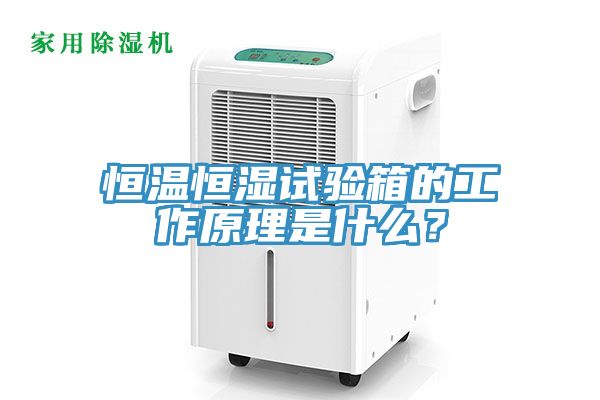 恒温恒湿试验箱的工作原理是什么？