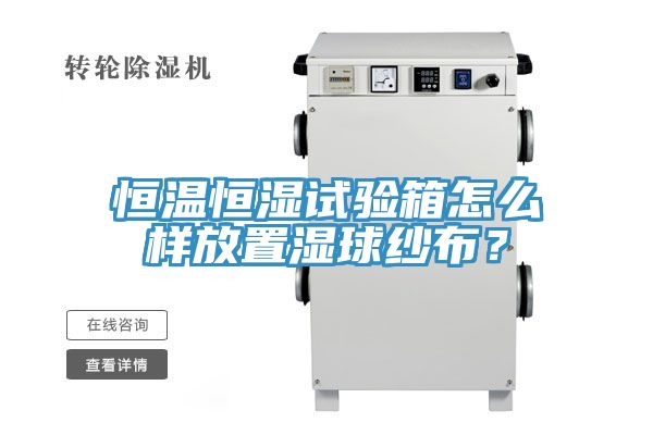 恒温恒湿试验箱怎么样放置湿球纱布？