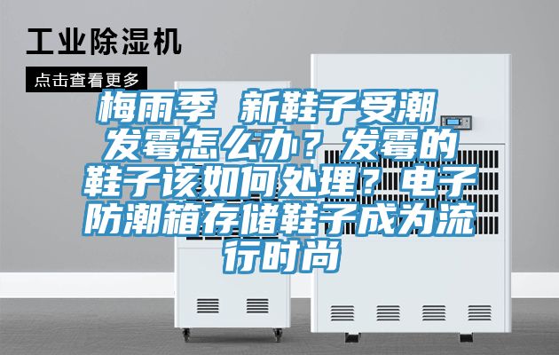 梅雨季 新鞋子受潮 发霉怎么办？发霉的鞋子该如何处理？电子防潮箱存储鞋子成为流行时尚