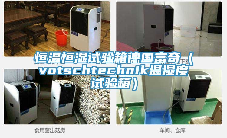 恒温恒湿试验箱德国富奇（votschtechnik温湿度试验箱）