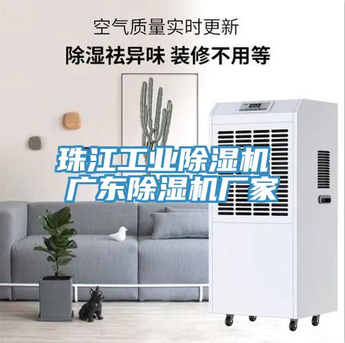 珠江工业除湿机 广东除湿机厂家