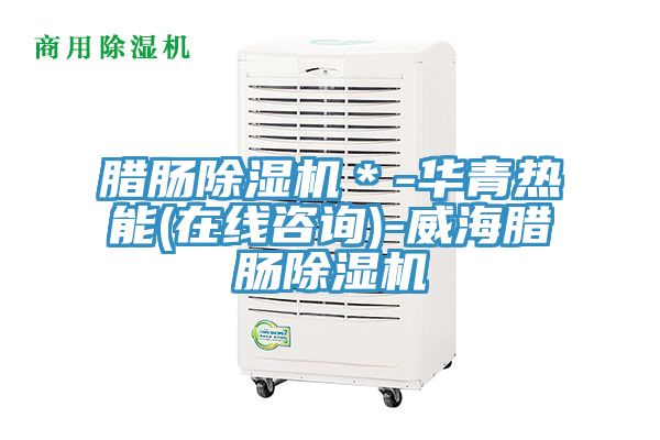 腊肠除湿机＊-华青热能(在线咨询)-威海腊肠除湿机