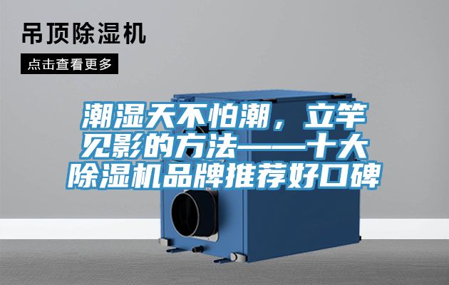 潮湿天不怕潮，立竿见影的方法——十大除湿机品牌推荐好口碑