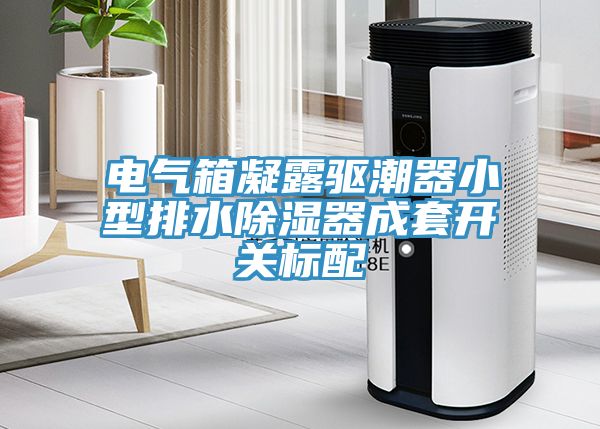 电气箱凝露驱潮器小型排水除湿器成套开关标配