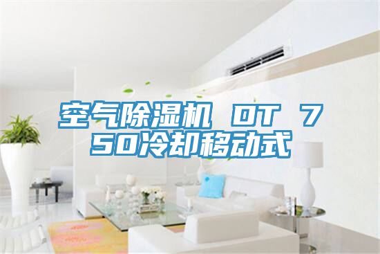 空气除湿机 DT 750冷却移动式