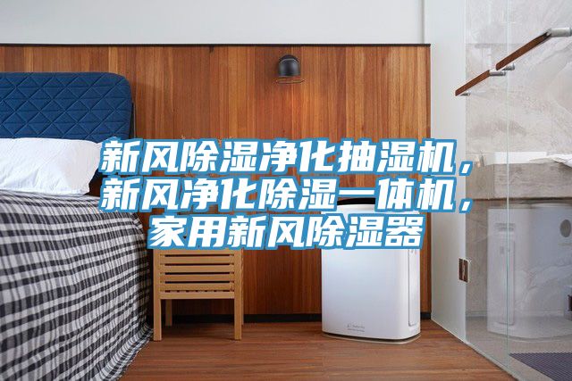 新风除湿净化抽湿机，新风净化除湿一体机，家用新风除湿器