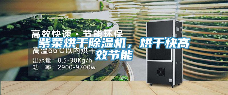 紫菜烘干除湿机，烘干快高效节能