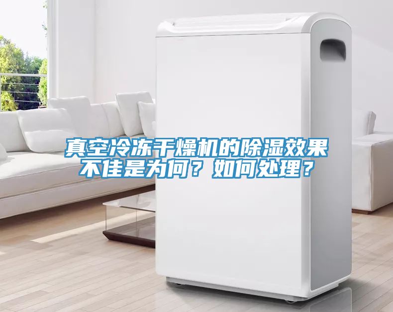 真空冷冻干燥机的除湿效果不佳是为何？如何处理？