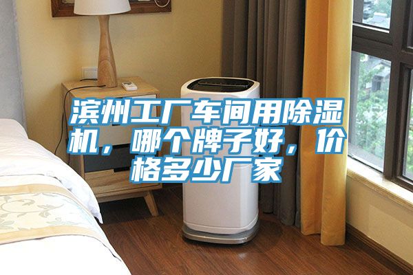 滨州工厂车间用除湿机，哪个牌子好，价格多少厂家