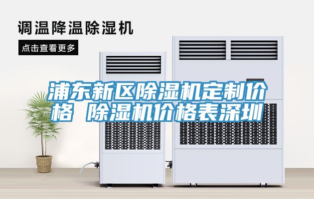 浦东新区除湿机定制价格 除湿机价格表深圳