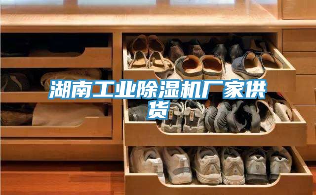 湖南工业除湿机厂家供货