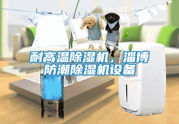 耐高温除湿机，淄博防潮除湿机设备