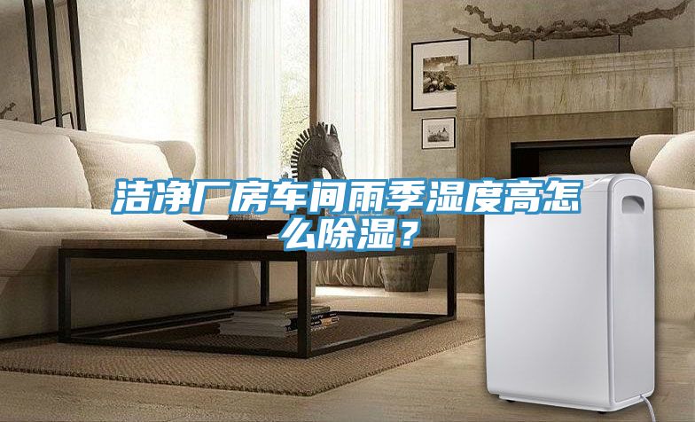洁净厂房车间雨季湿度高怎么除湿？