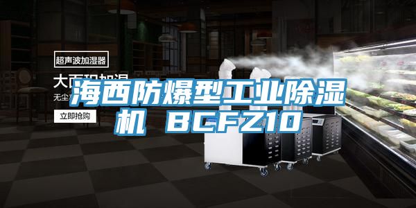 海西防爆型工业除湿机 BCFZ10