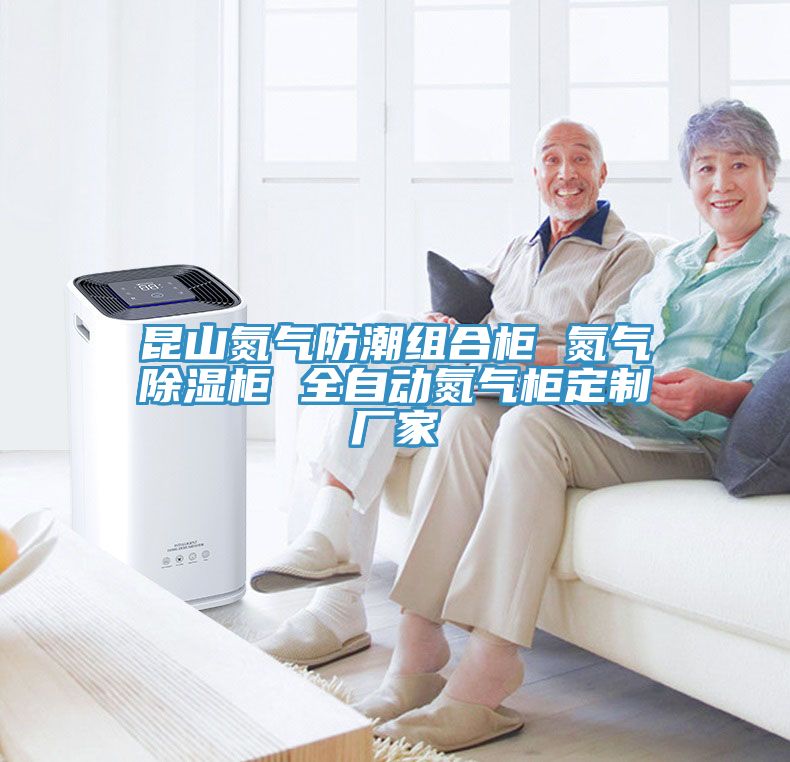 昆山氮气防潮组合柜 氮气除湿柜 全自动氮气柜定制厂家