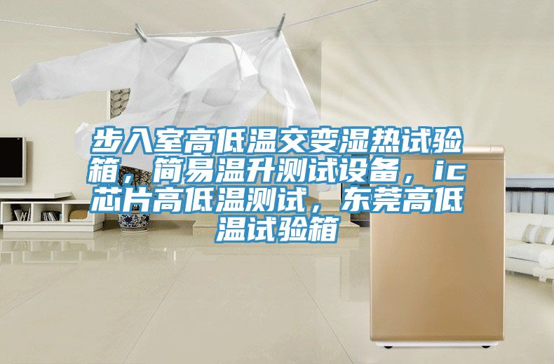 步入室高低温交变湿热试验箱，简易温升测试设备，ic芯片高低温测试，东莞高低温试验箱