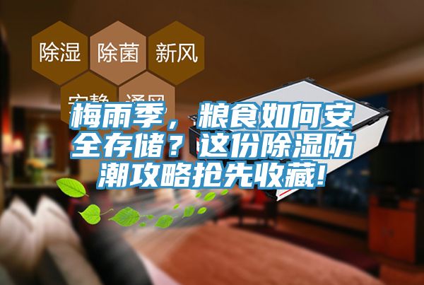 梅雨季，粮食如何安全存储？这份除湿防潮攻略抢先收藏!