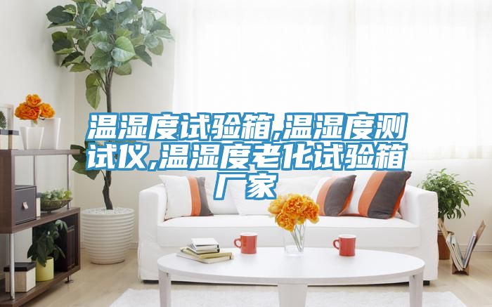 温湿度试验箱,温湿度测试仪,温湿度老化试验箱厂家