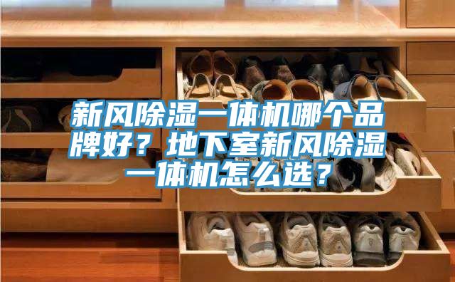 新风除湿一体机哪个品牌好？地下室新风除湿一体机怎么选？