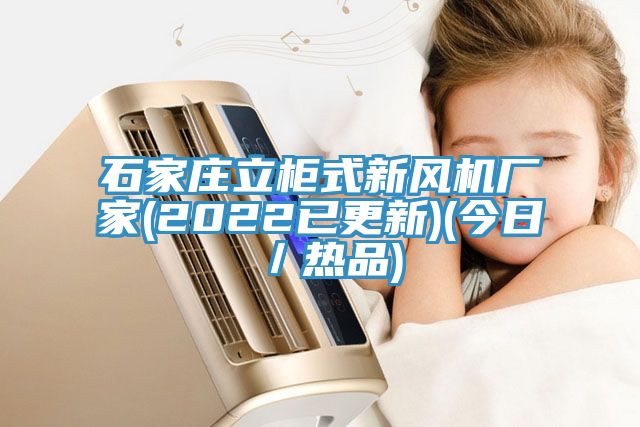 石家庄立柜式新风机厂家(2022已更新)(今日／热品)