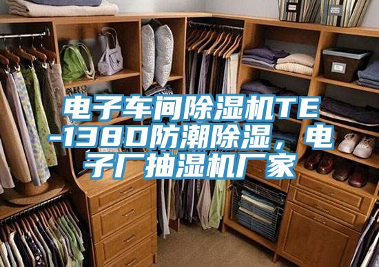 电子车间除湿机TE-138D防潮除湿，电子厂抽湿机厂家